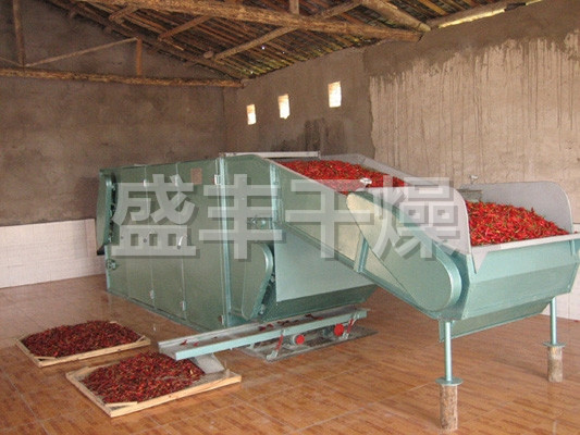 DWC系列脱水蔬菜带式干燥机