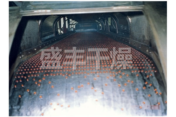 RL系列熔融造粒机