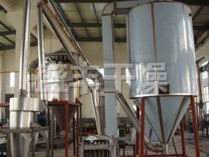 骨头蛋白专用喷雾烘干设备